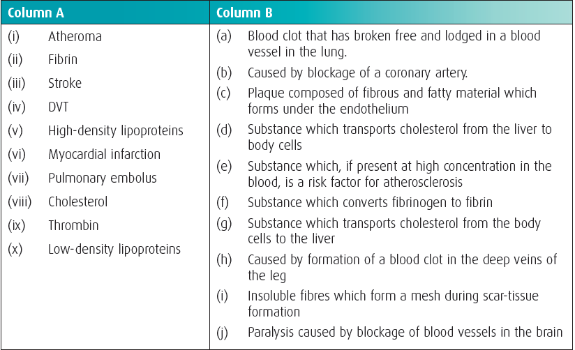 Pathology of Cardiovascular Disease (CVD) - Bright Red Digital Zone